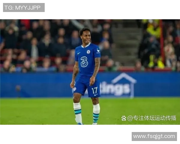 足球界杰出黑人球星的辉煌历史与贡献探析